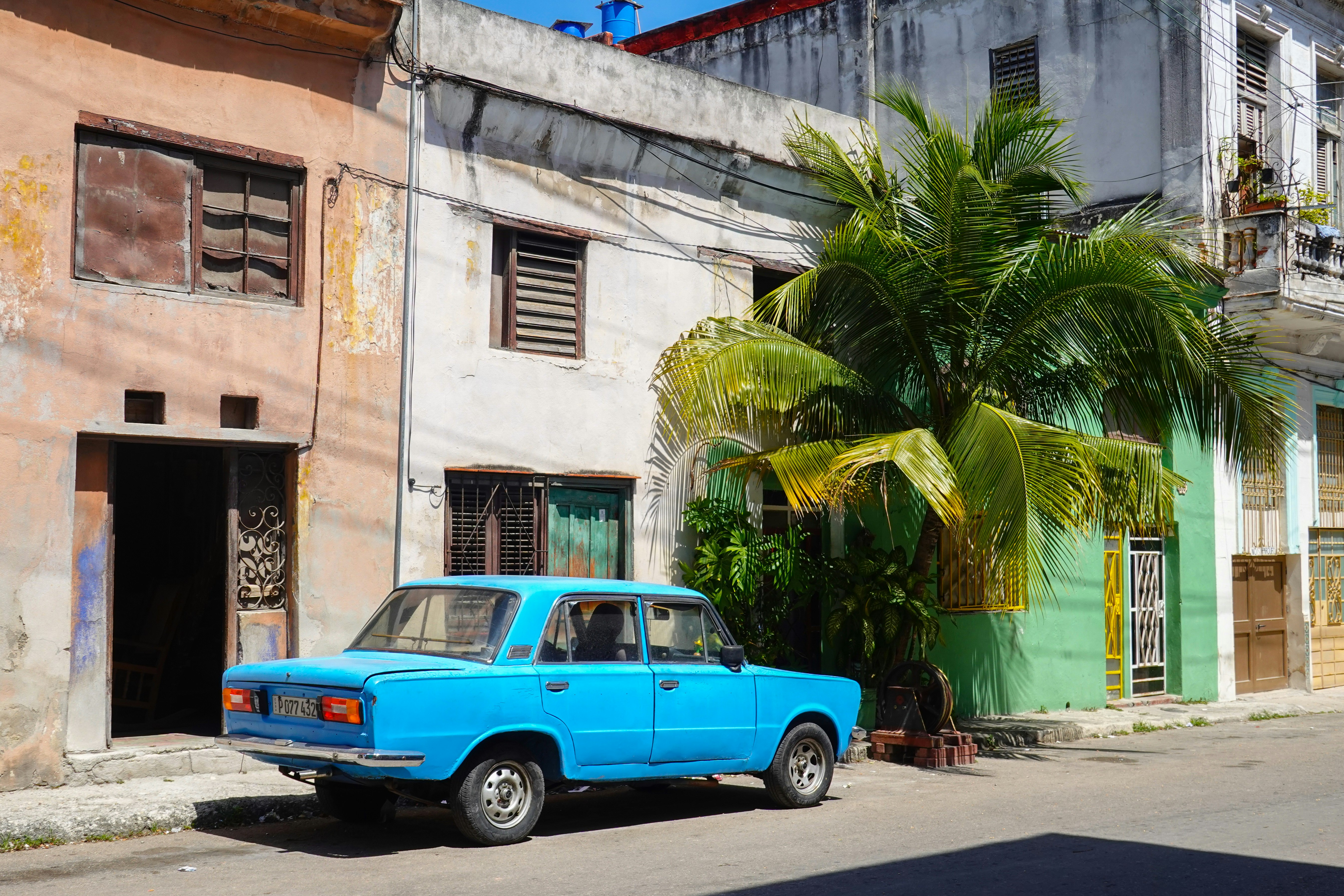 blue volkswagen beetle parked beside palm tree during daytime